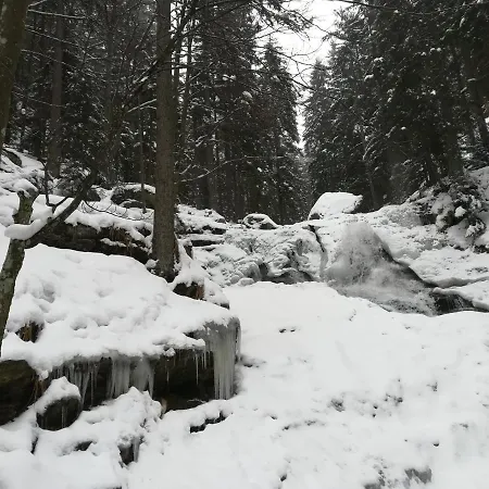 Hotel Waldhaus Bodenmais