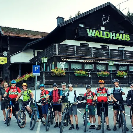 Otel Waldhaus Bodenmais