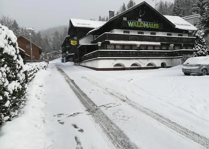 Waldhaus בודנמאיס