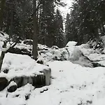 Отель Waldhaus Боденмайс