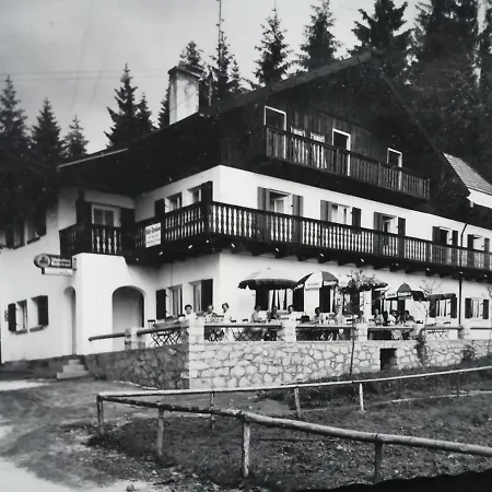 Waldhaus Hotel