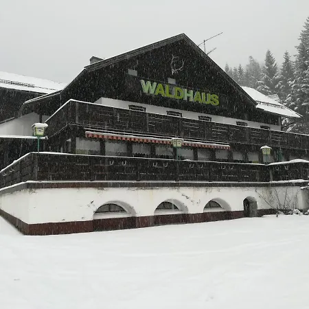 Waldhaus *