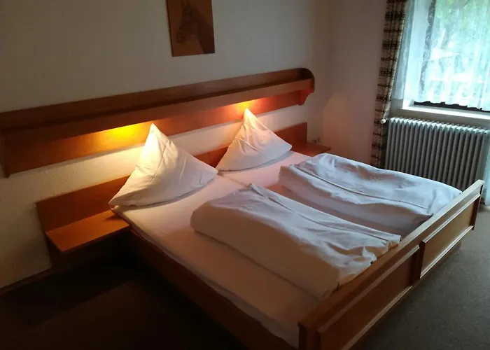 Hotel Waldhaus